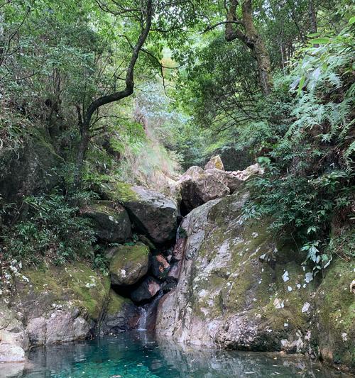 饥饿荒野水潭刷新攻略（探索荒野世界）