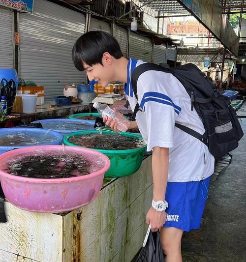 《冒险日记帝骑》玩法攻略指南（带你探索无尽冒险之旅）